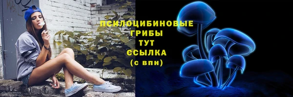 герыч Арсеньев