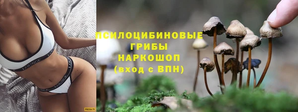 герыч Арсеньев