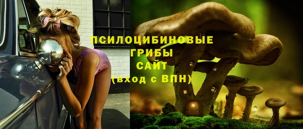 метадон Армянск