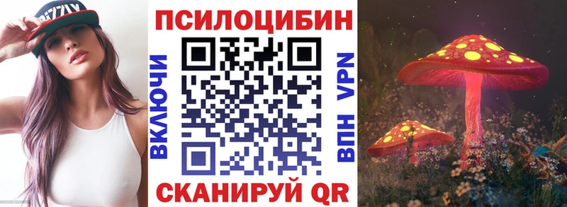 shop какой сайт  Черноголовка  Псилоцибиновые грибы мицелий  где найти наркотики 
